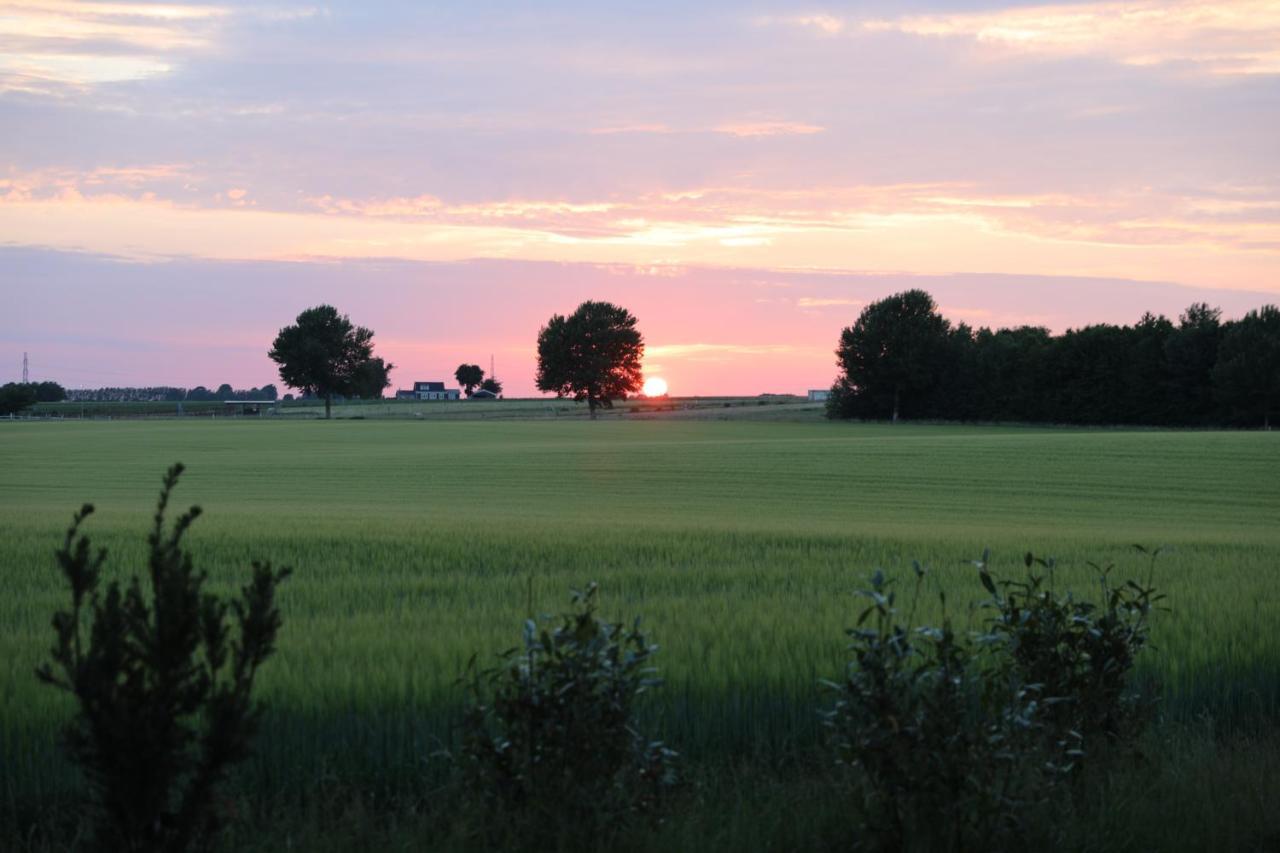 Amarksgard Guesthouse Lille Skensved Exteriér fotografie