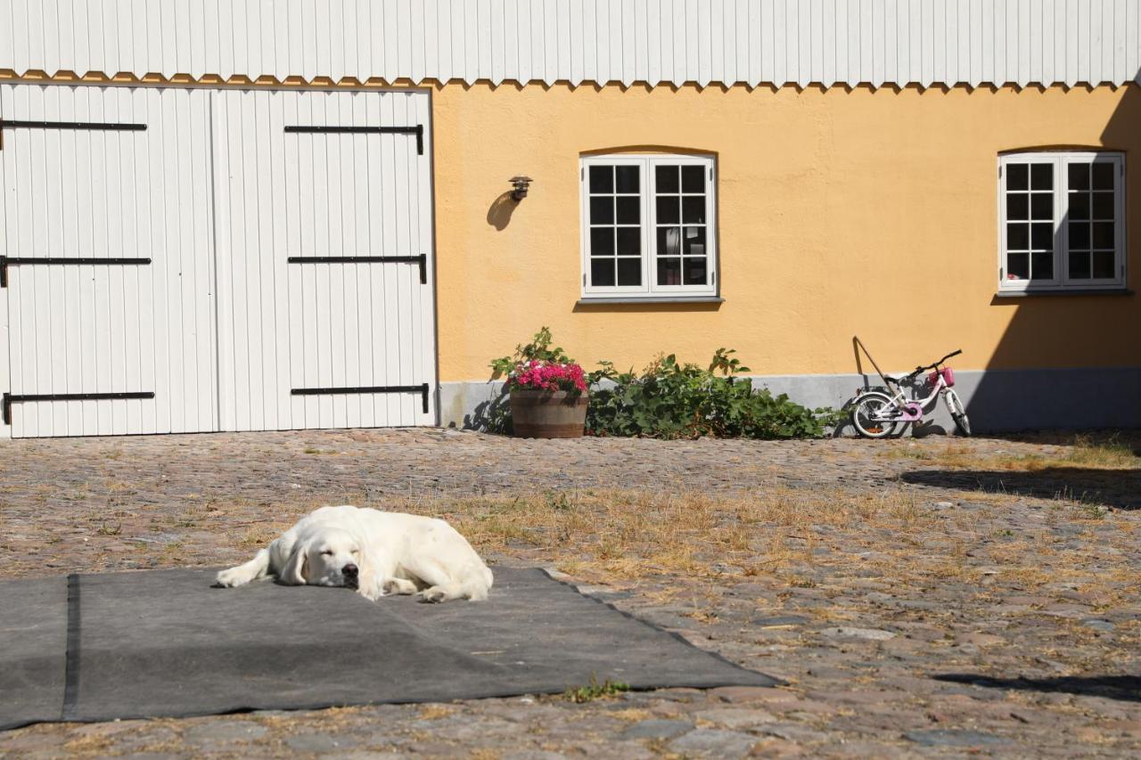 Amarksgard Guesthouse Lille Skensved Exteriér fotografie